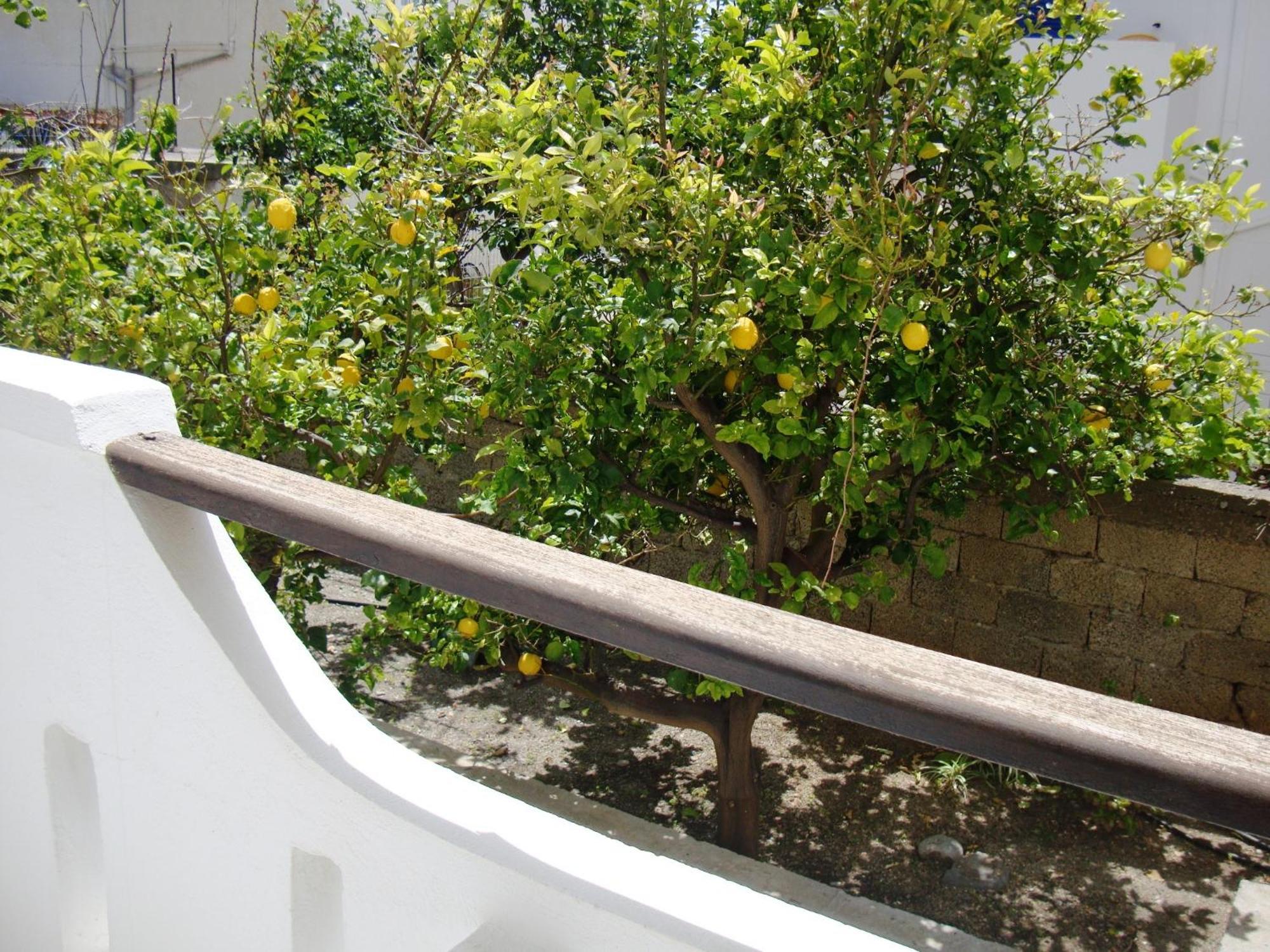 Artemis Studios อาเยียรูเมลี ภายนอก รูปภาพ
